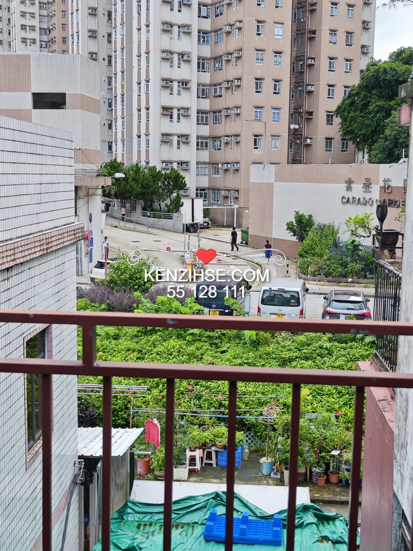 田心村