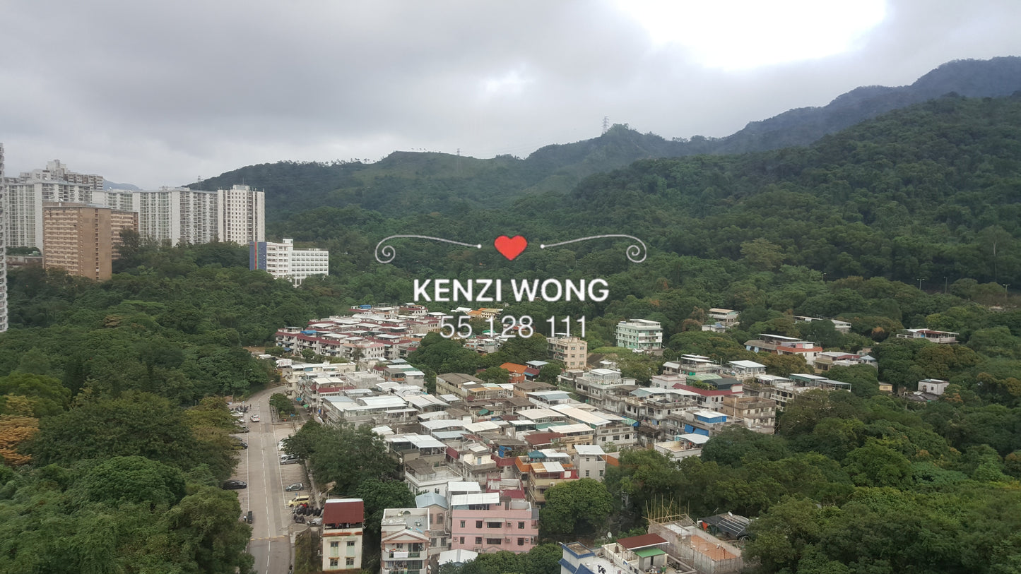 金獅花園 二期 321呎