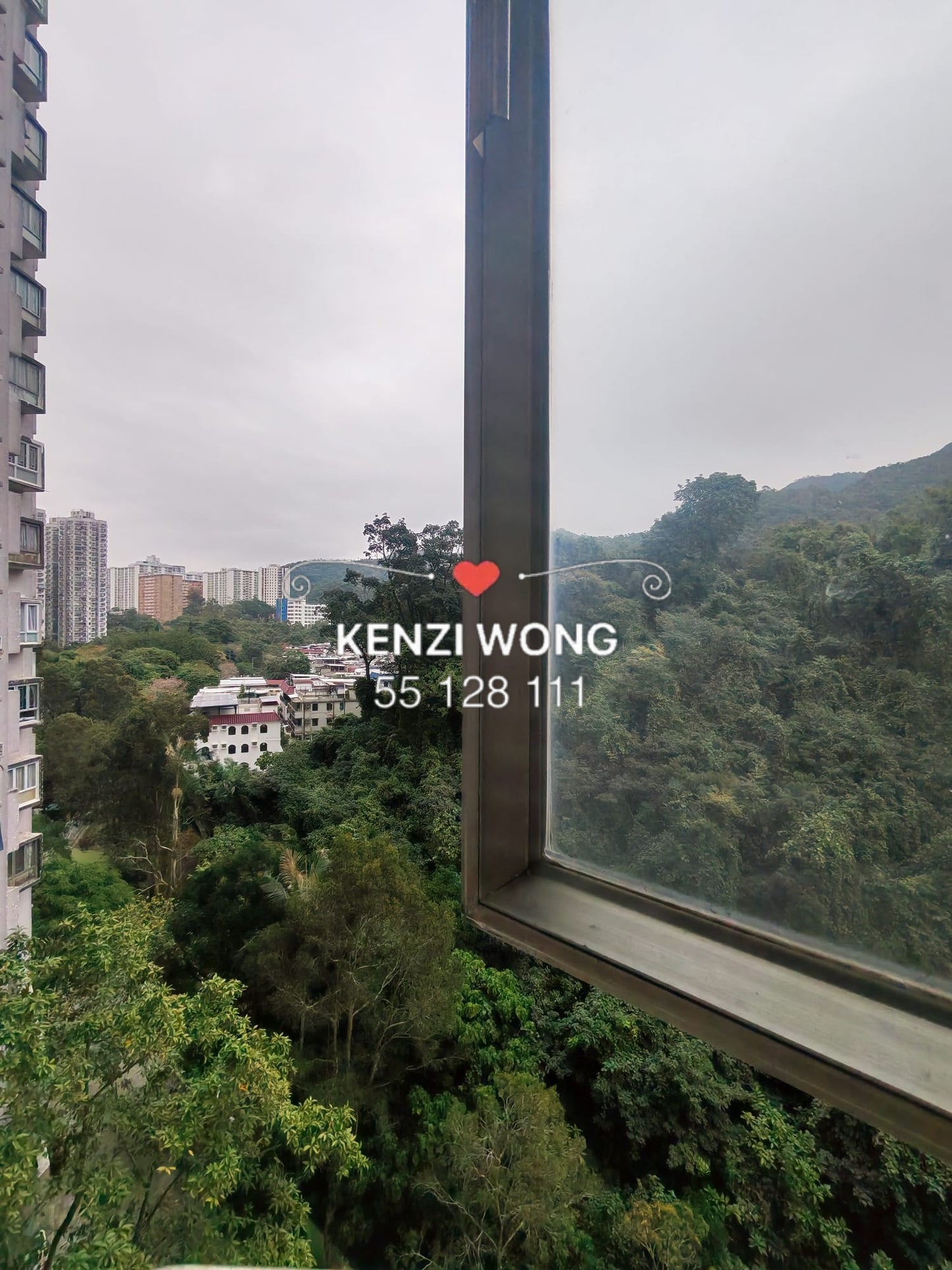 金獅花園 二期 336呎