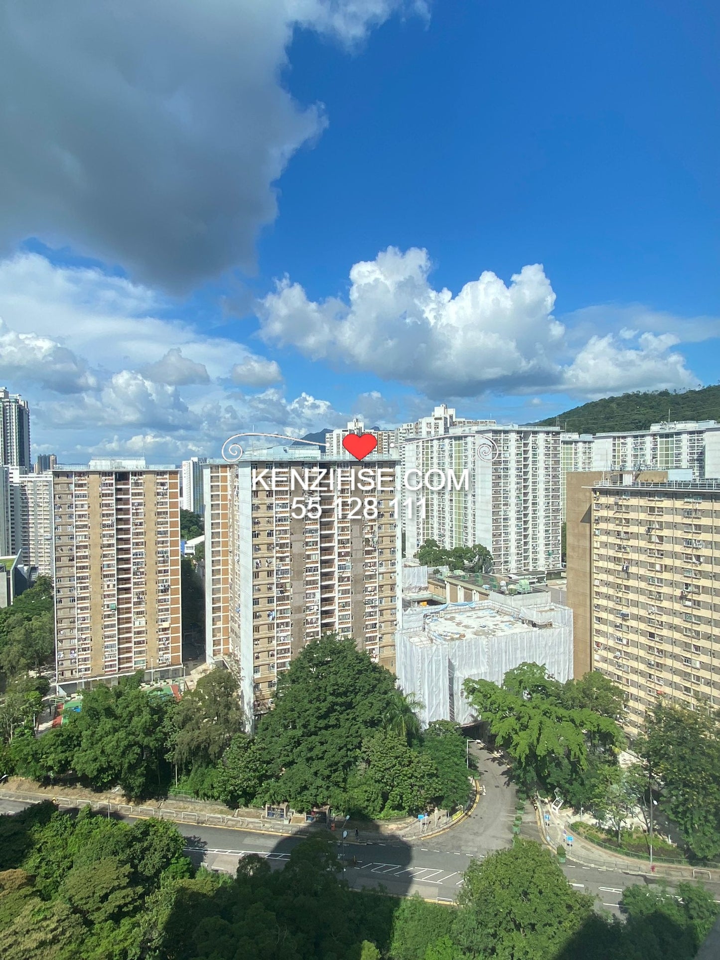 金獅花園 一期